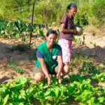 MAISON DE LA NUTRITION SOAKILONGA