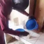 THÈSE SUR L'INCORPORATION DE SPIRULINE DANS DES BOUILLIES POUR ENFANTS DÉMUNIS