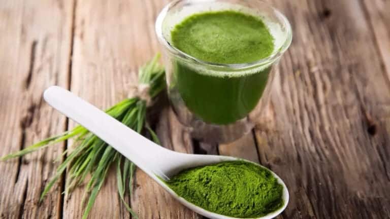 Lutte contre la malnutrition infantile en Afrique 51 la-spiruline